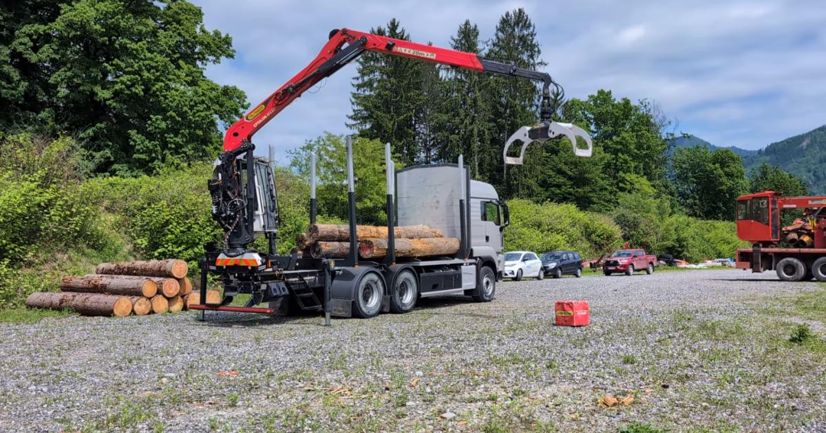 Wie-Siemens-f-r-mehr-Sicherheit-im-Wald-sorgen-will