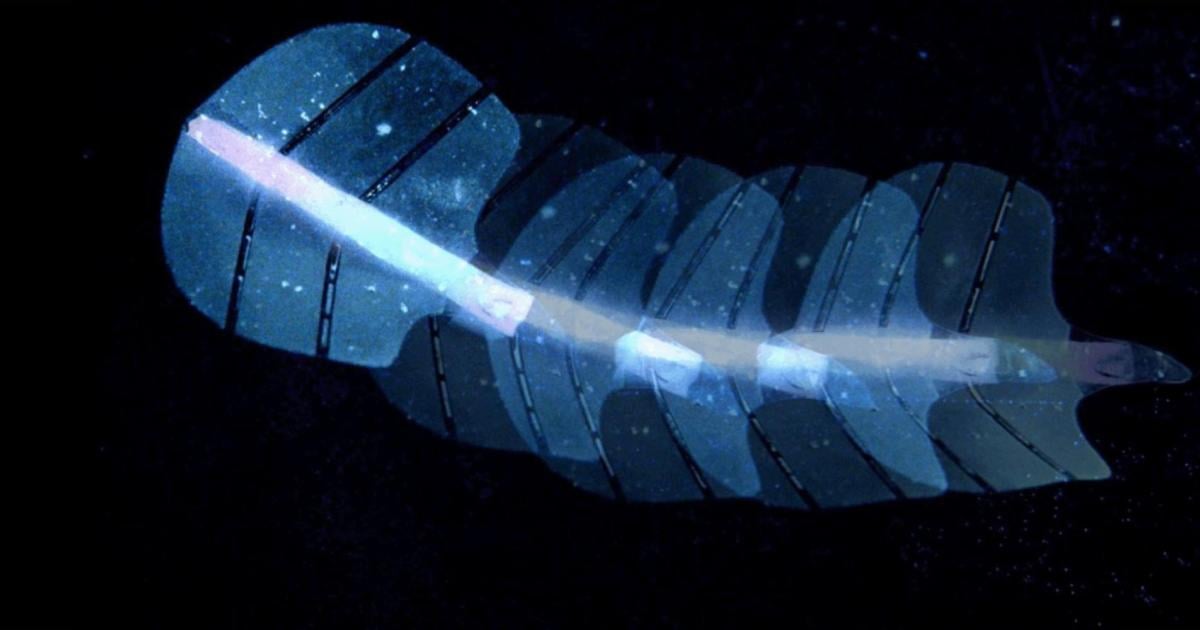 K-nstliche-Muskeln-lassen-sich-drahtlos-und-ohne-Funk-steuern