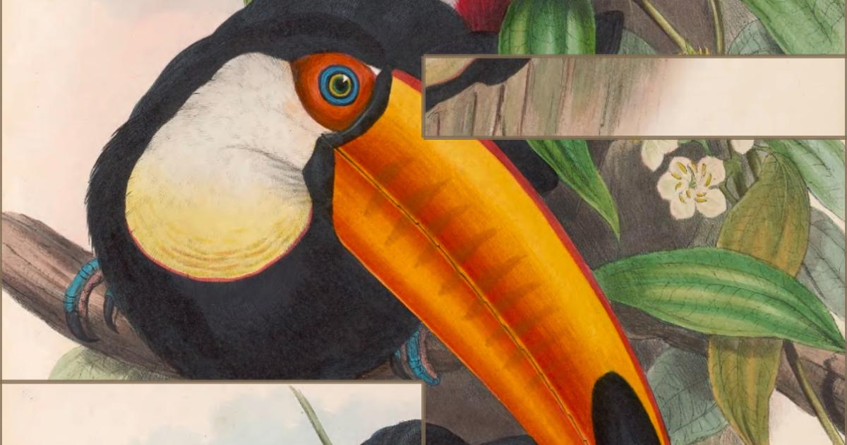 Apple-k-rt-App-des-Jahres-sterreicher-unter-den-Finalisten