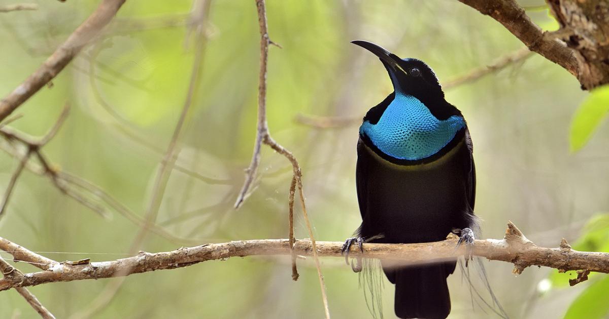 Neuer-Rekord-Schw-rzester-Stoff-der-Welt-reflektiert-nur-0-13-Prozent-Licht