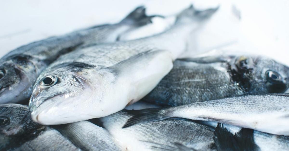 Dieser-smarte-Sensor-kann-vor-faulem-Fisch-warnen