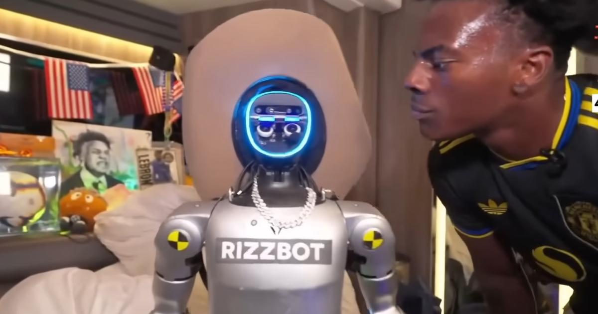 YouTuber-schubst-humanoiden-Roboter-wird-vom-Hersteller-verklagt