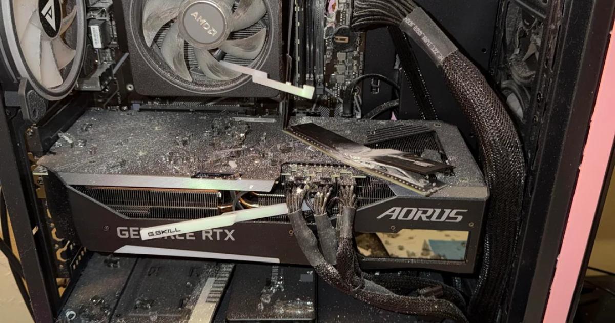 Bizarrer-Unfall-Hund-schie-t-auf-Nachbarin-Gaming-PC-rettet-sie-vor-Kugel