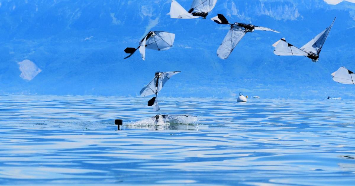 Dieser-flatternde-Roboter-kann-fliegen-und-schwimmen