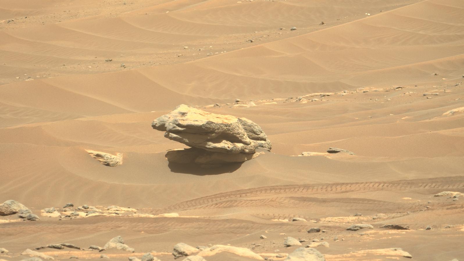 Mars-Rover entdeckt Stein, der wie ein Frosch aussieht thumbnail